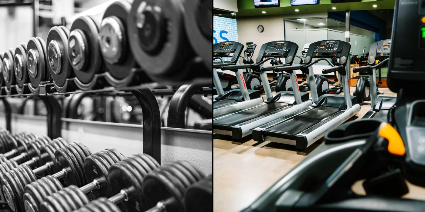Cardio vs strength
